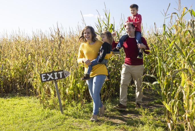 A family walks through a corn maze.