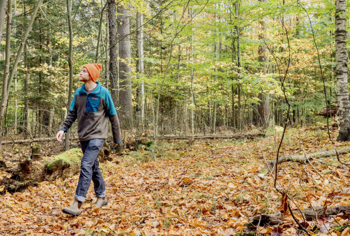 A man walks through a leafy forest.