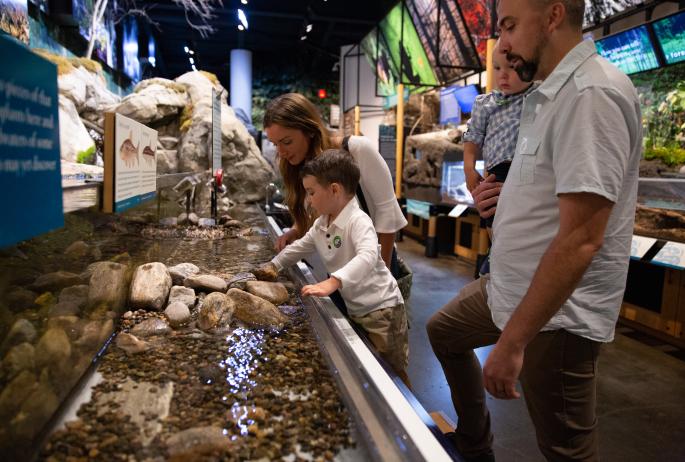 A child and his parents explore a water exhibit at a natural museum.