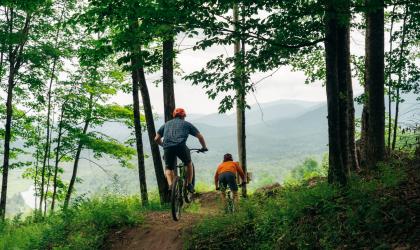 Two mountain bikers leaving the forest