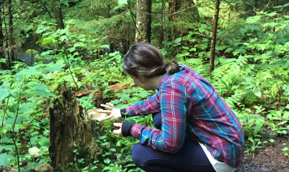 f2e3ae18-c5f2-4739-a2d9-2d152b088967