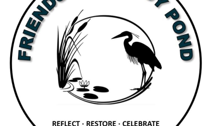 A heron and cats tails plant with Friends of Moody Pond